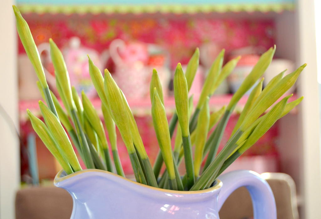 Bring the Spring into your home